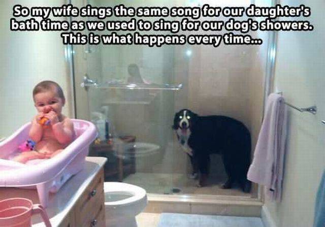Daily Picdump Daily Picdump