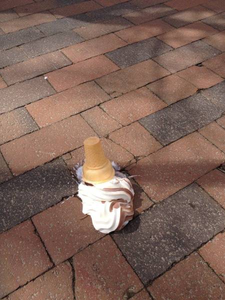 Daily Picdump Daily Picdump