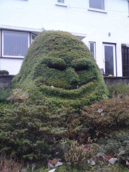 Daily Picdump Daily Picdump