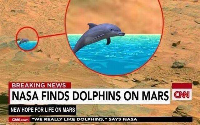Daily Picdump Daily Picdump