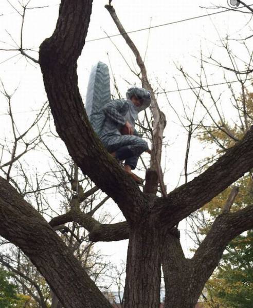 Daily Picdump Daily Picdump