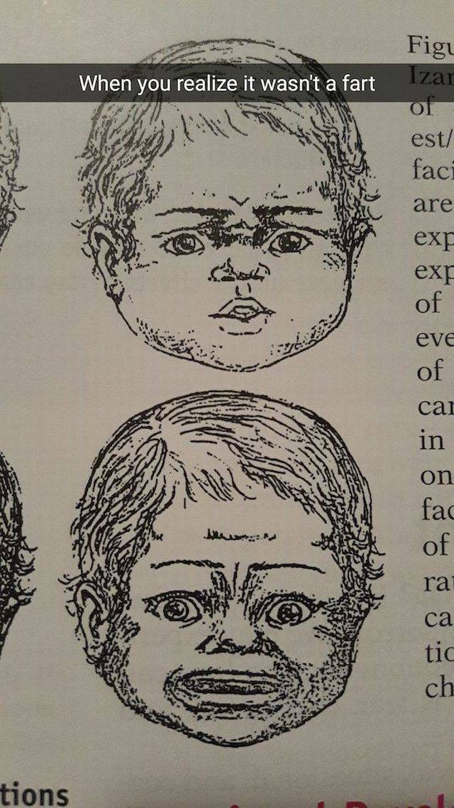 Daily Picdump Daily Picdump
