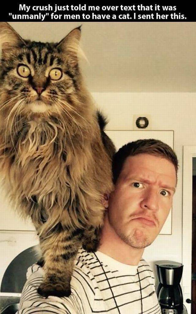 Daily Picdump Daily Picdump