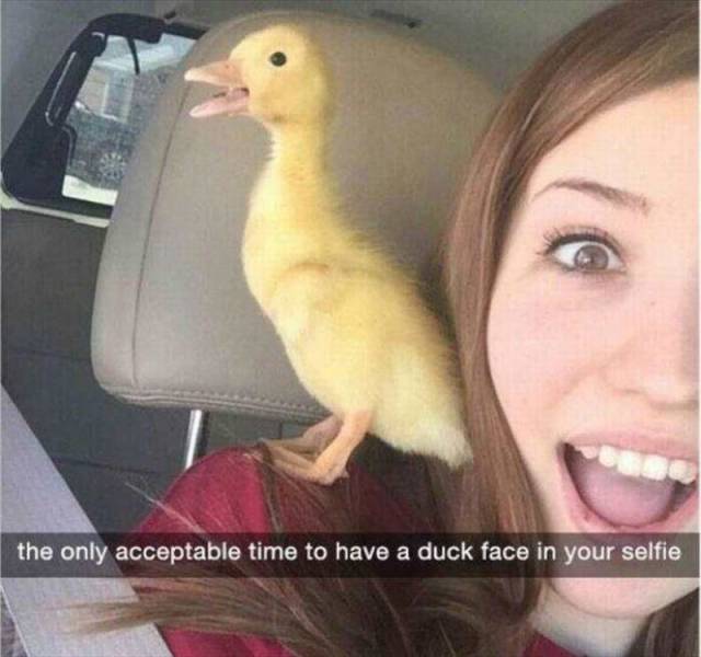 Daily Picdump Daily Picdump