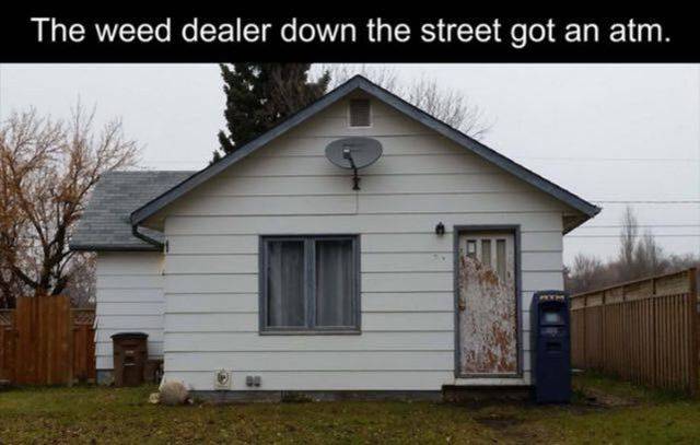 Daily Picdump Daily Picdump