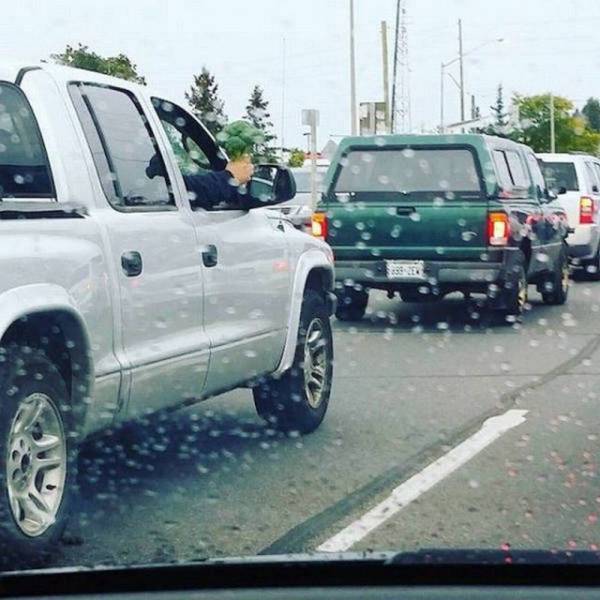 Daily Picdump Daily Picdump