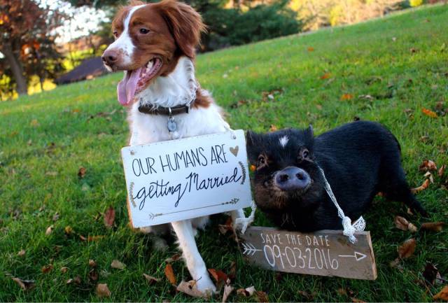 Daily Picdump Daily Picdump