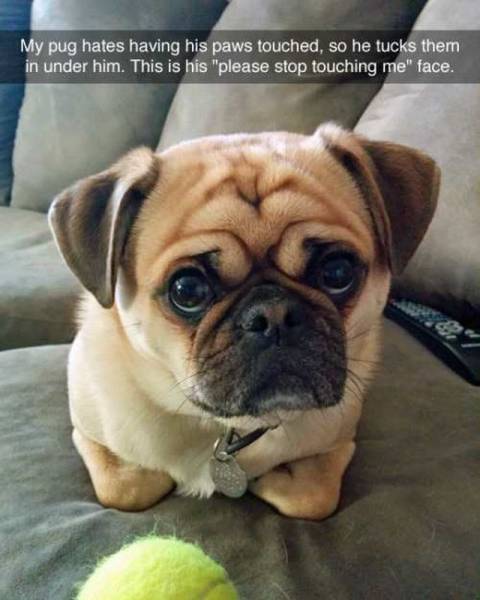 Daily Picdump Daily Picdump