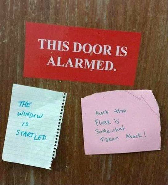 Daily Picdump Daily Picdump