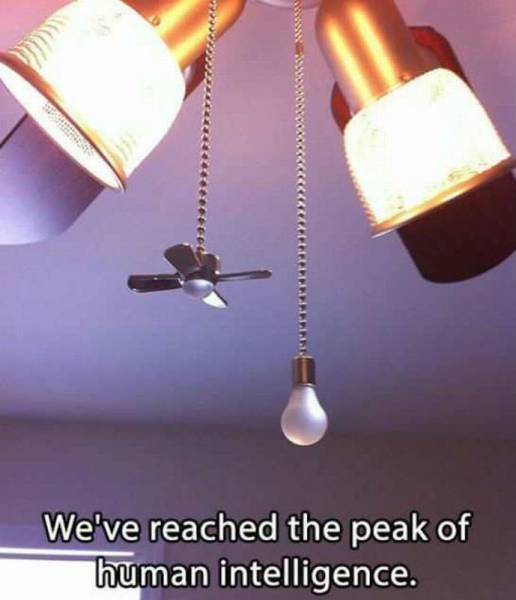 Daily Picdump Daily Picdump