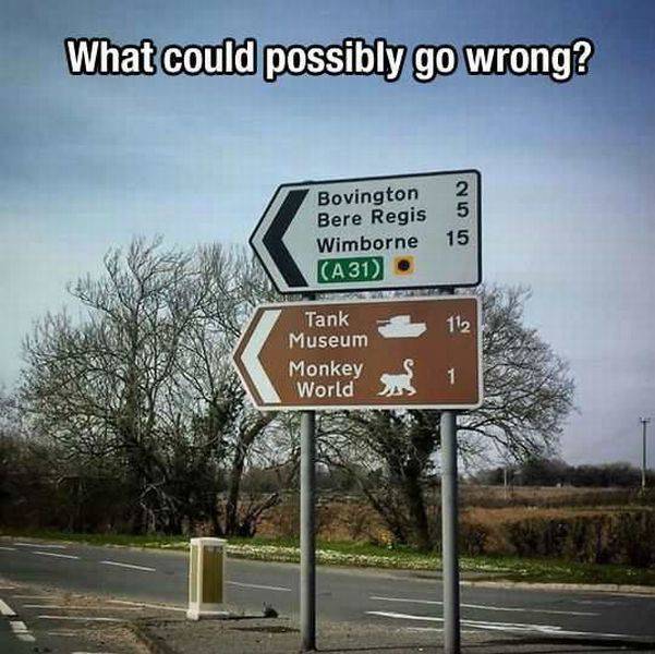 Daily Picdump Daily Picdump