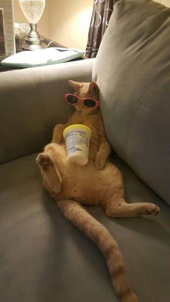 Daily Picdump Daily Picdump