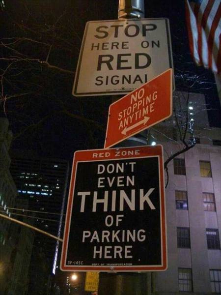 Daily Picdump Daily Picdump