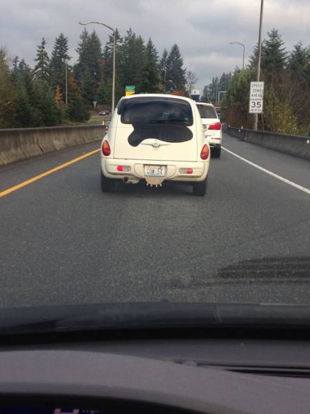 Daily Picdump Daily Picdump