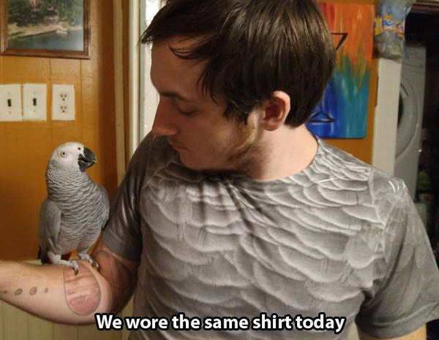 Daily Picdump Daily Picdump