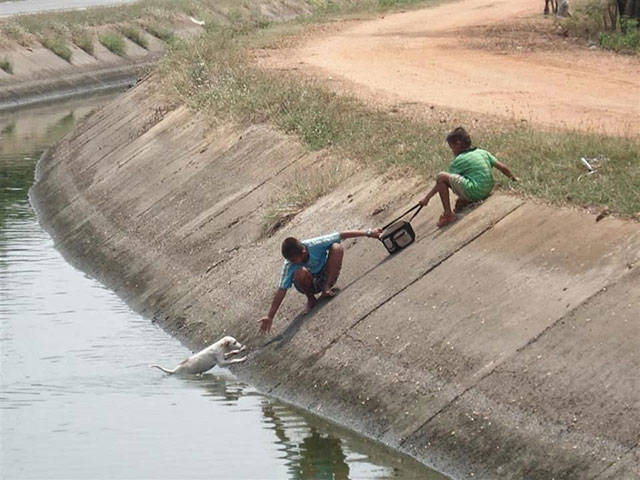 Touching Images That Will Warm Your Heart