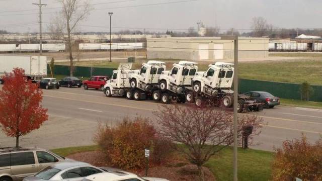 Daily Picdump Daily Picdump