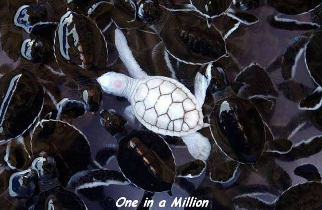 Daily Picdump Daily Picdump