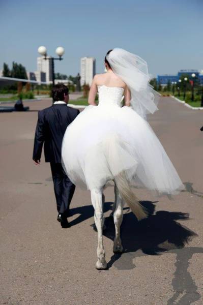 Daily Picdump Daily Picdump