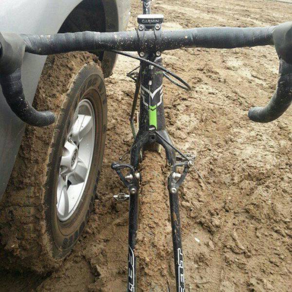 Daily Picdump Daily Picdump