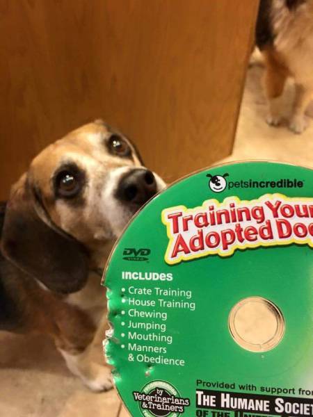 Daily Picdump Daily Picdump