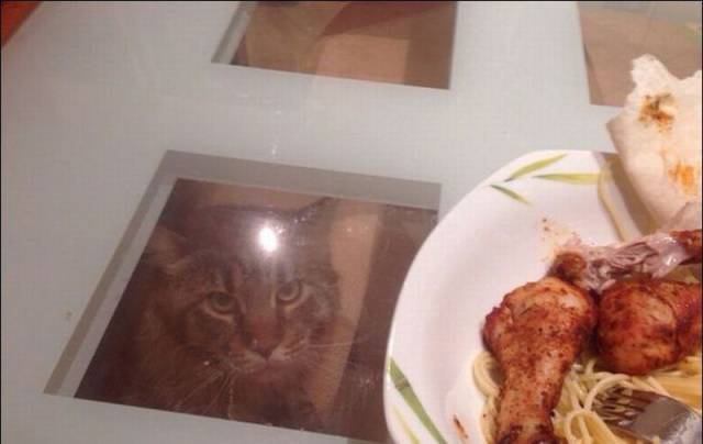 Daily Picdump Daily Picdump