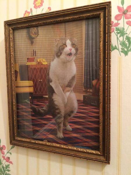Daily Picdump Daily Picdump