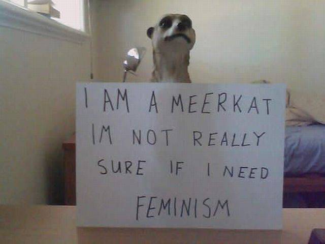 Daily Picdump Daily Picdump