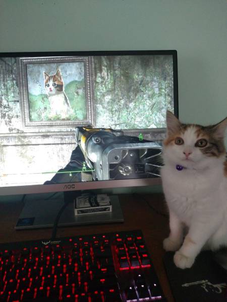 Daily Picdump Daily Picdump