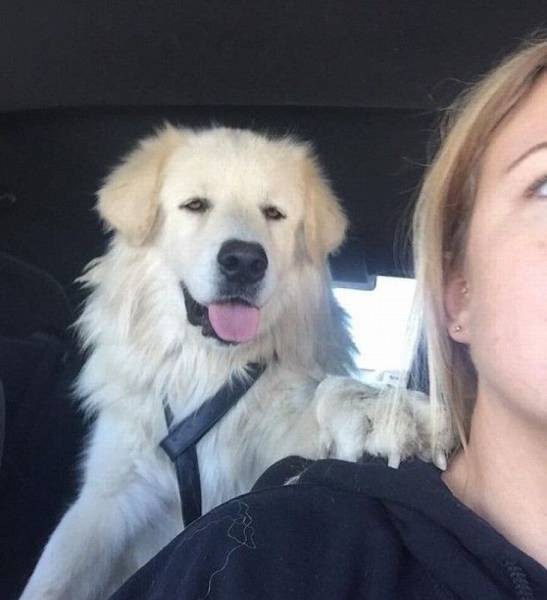 Daily Picdump Daily Picdump