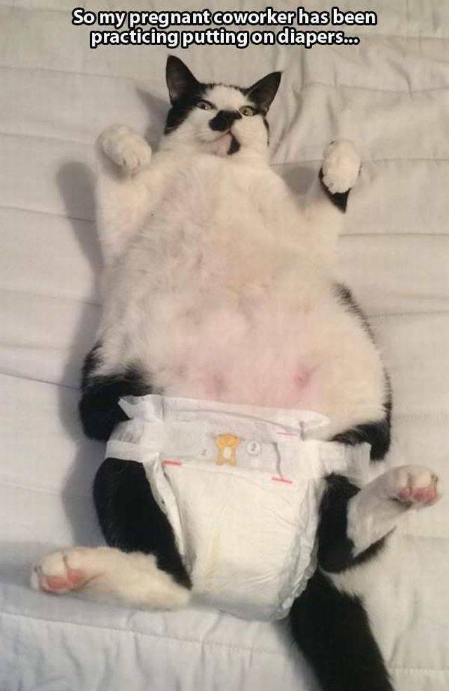 Daily Picdump Daily Picdump