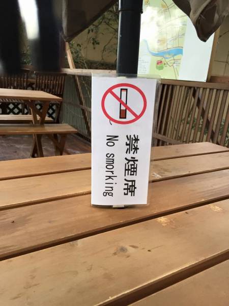 Messages That Got Lost in Translation