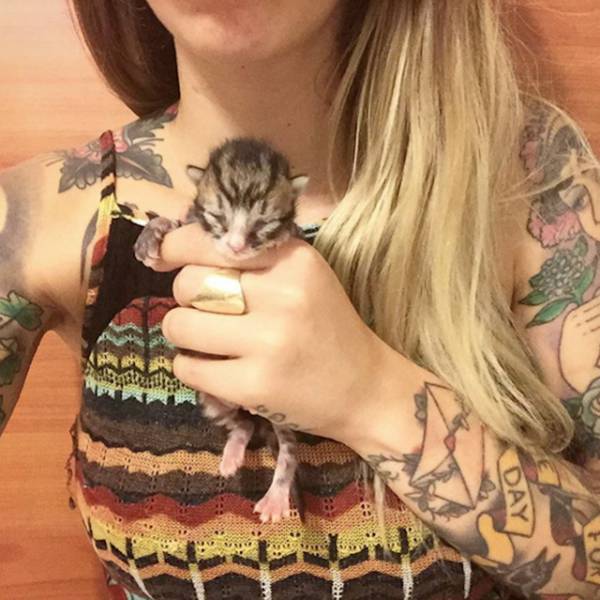 This Sweet Woman Specializes in Saving Kittens