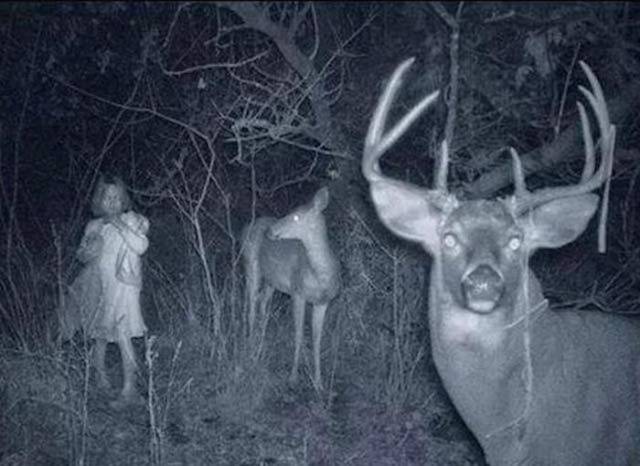 Eerie Images That Will Definitely Freak You Out a Little