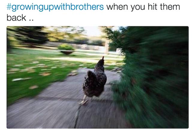 Only People with Siblings Will Understand These Particular Problems