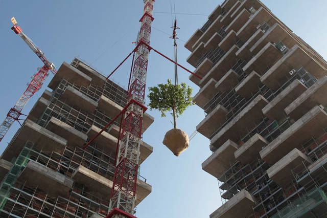 A Towering Apartment Building That Is Completely Evergreen