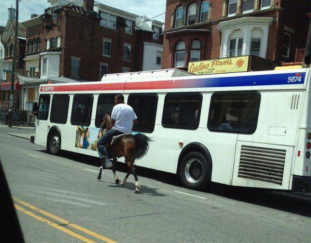 Daily Picdump Daily Picdump