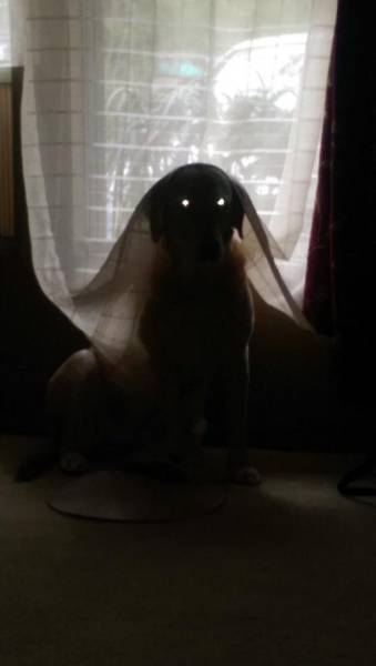 Daily Picdump Daily Picdump