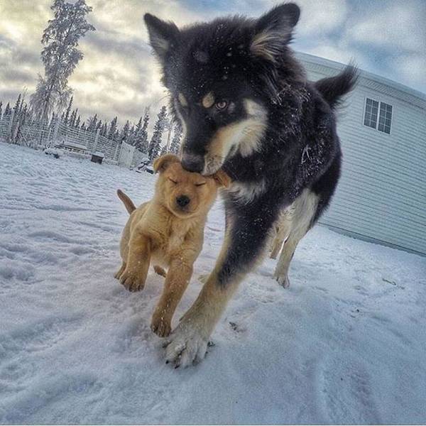 Daily Picdump Daily Picdump