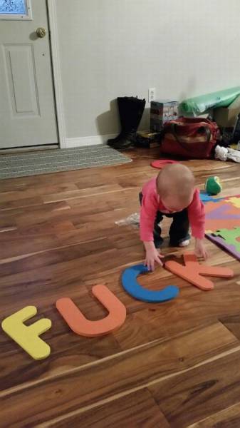 Daily Picdump Daily Picdump
