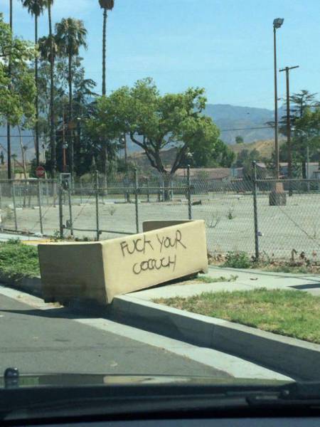 Daily Picdump Daily Picdump