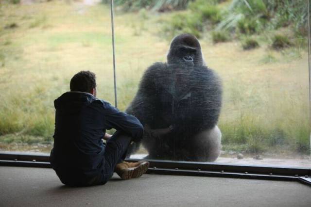 Daily Picdump Daily Picdump