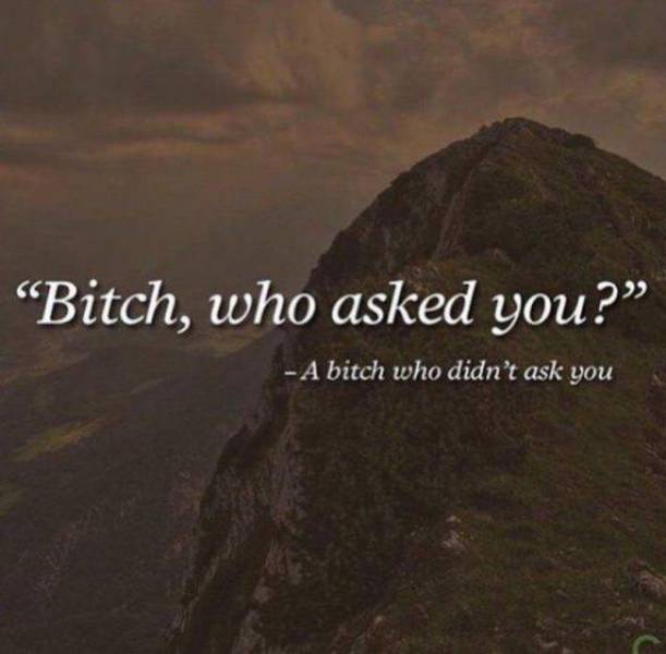 Daily Picdump Daily Picdump