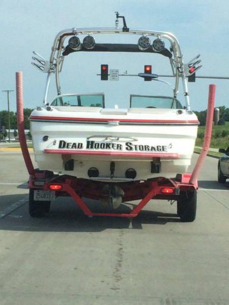 Daily Picdump Daily Picdump