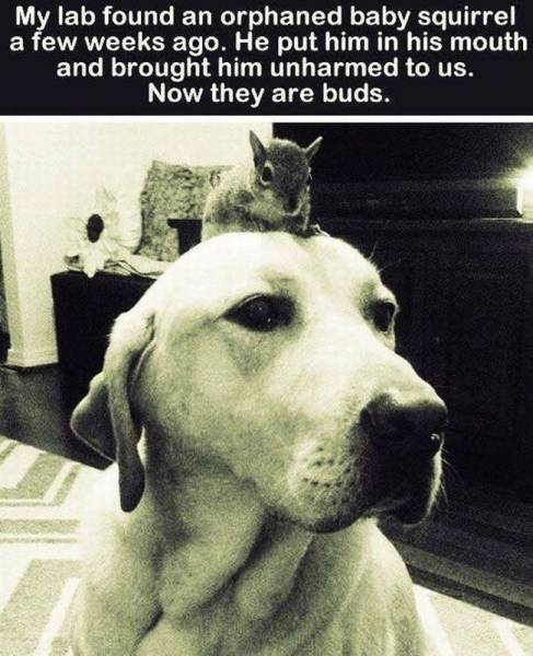 Daily Picdump Daily Picdump