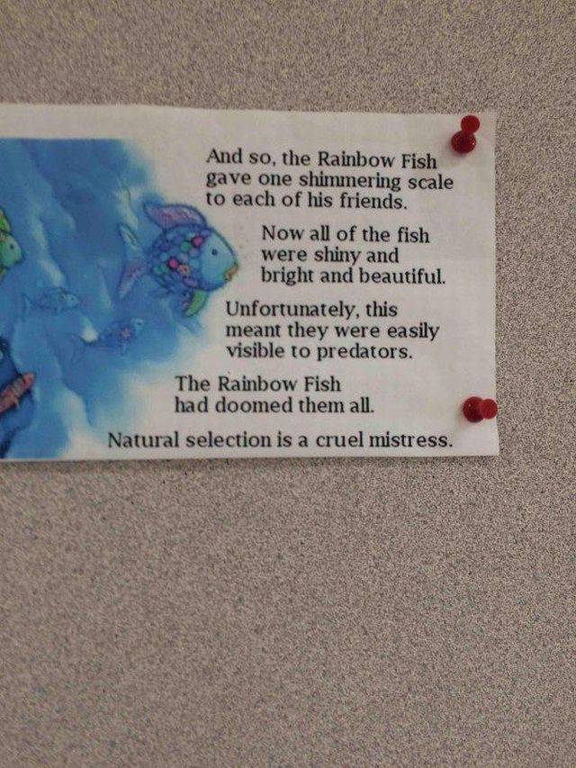 Daily Picdump Daily Picdump