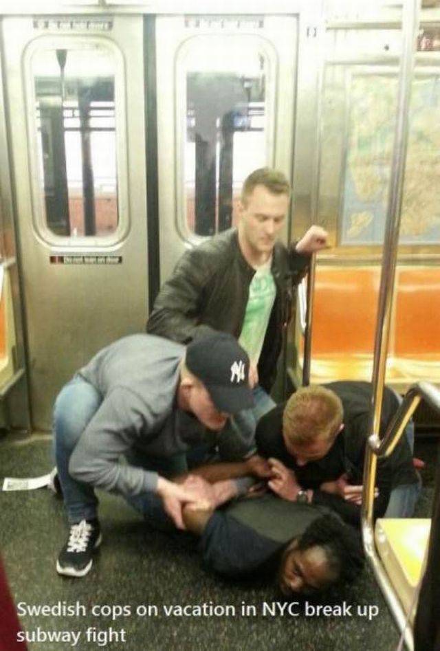 Daily Picdump Daily Picdump