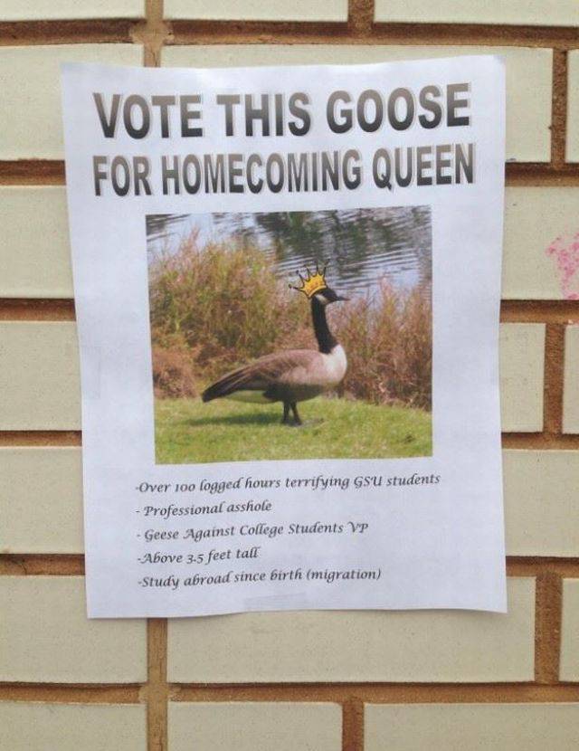 Daily Picdump Daily Picdump