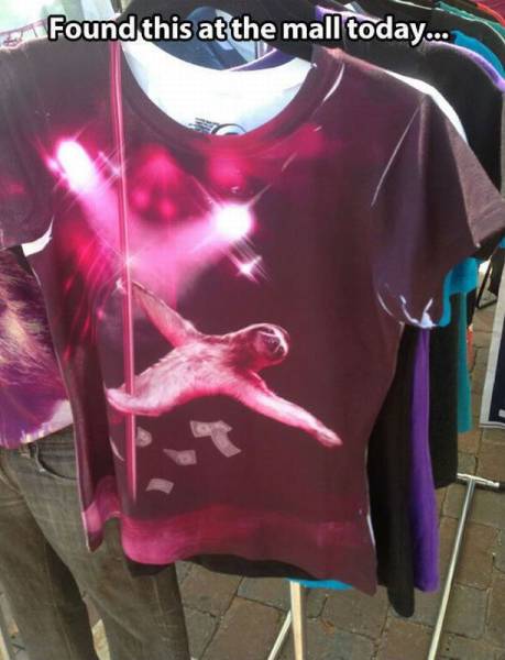 Daily Picdump Daily Picdump
