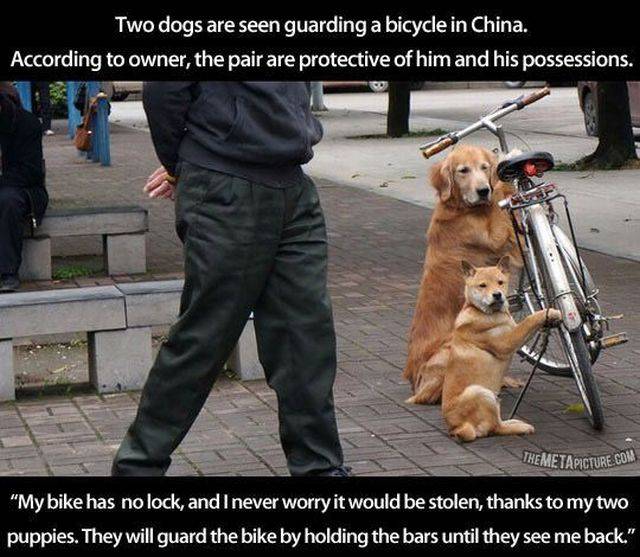 Daily Picdump Daily Picdump